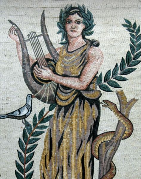 Picture of MAROZ012